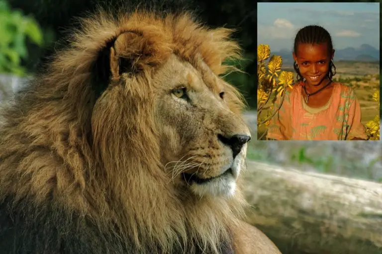 La storia della bambina sequestrata e torturata, salvata da un branco di leoni