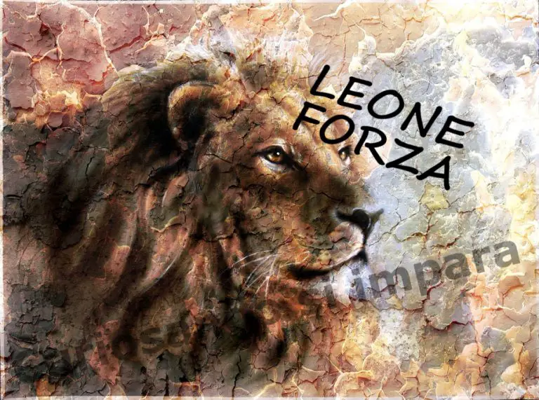 9 caratteristiche che rendono il Leone uno dei segni più forti dello zodiaco