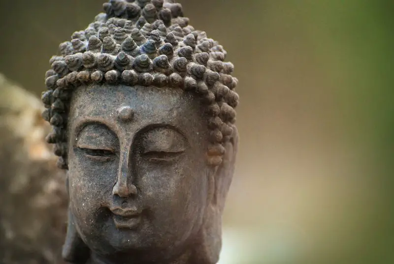 25 Frasi Buddiste Che Non Dimenticherai Mai Curiosando Si Impara