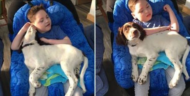 Una madre regala un cucciolo al proprio bimbo, adesso la loro complicità commuove il web