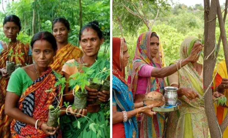 In India, le donne piantano 111 alberi ogni volta che nasce una bimba