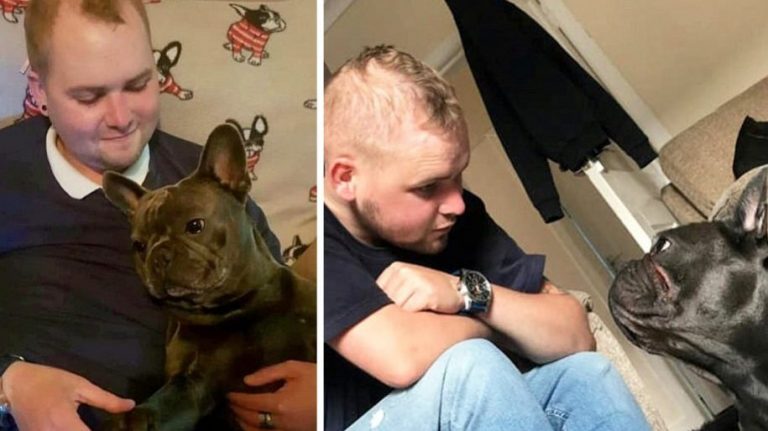 Il cane fedele muore 15 minuti dopo che il suo proprietario di 25 anni ha perso la sua battaglia contro il cancro al cervello