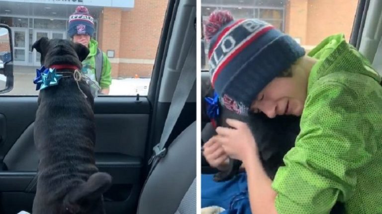 Questa mamma sorprende il proprio figlio adolescente portandogli a scuola il suo cagnolino perduto