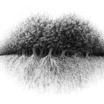 cropped-illusioneottica.jpg