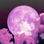 cropped-superlunarosa4-e1586272583289.jpg