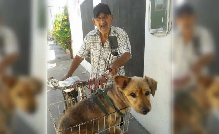Un uomo di 90 anni con diversi acciacchi porta il suo cagnolino che soffre di artrite dal veterinario. Sono veri amici