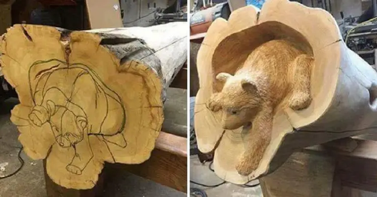 Un artista giapponese realizza delle sculture di animali in legno che hanno dei dettagli impressionanti