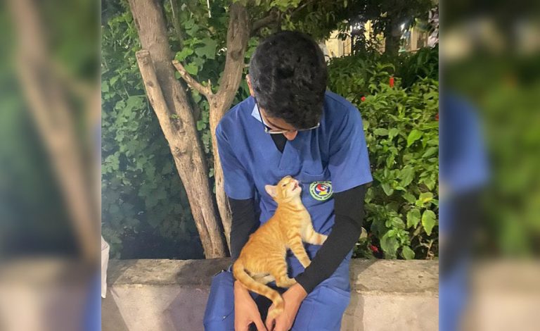 Un gatto randagio vede un infermiere esausto e gli si avvicina per “coccolarlo”