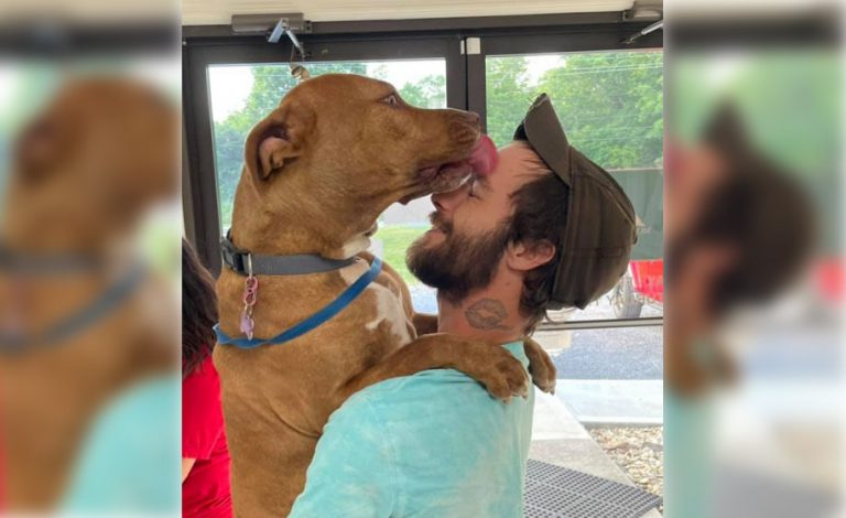 Una cagnolina che era stata rubata ha voluto subito un abbraccio quando si è riunita con il suo migliore amico