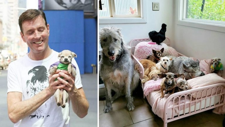 Quest’uomo adotta gli animali anziani che non riescono a trovare una casa