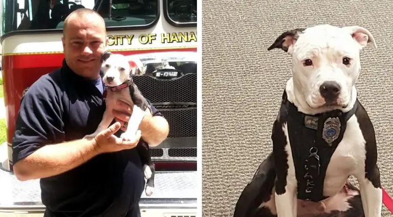 Un pompiere ha salvato un cucciolo da un incendio e poi ha deciso di dargli una casa per sempre