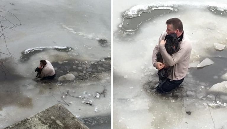 Quest’uomo si è buttato nell’acqua ghiacciata per salvare un cane che non era suo