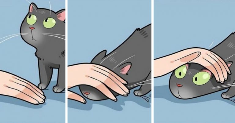 Questo artista mostra cosa significa vivere con un gatto con delle simpatiche illustrazioni (30 foto)