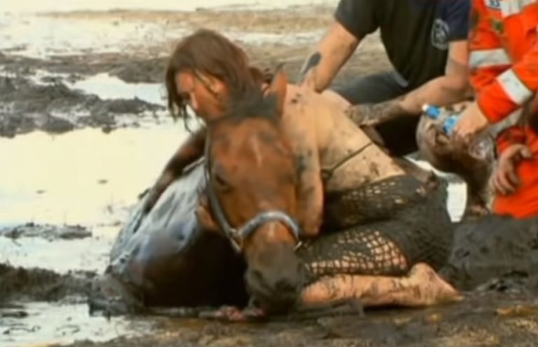 Una donna disperata sostiene la testa del suo cavallo per 3 ore in modo che non affoghi nel fango. Sono riusciti a salvarlo