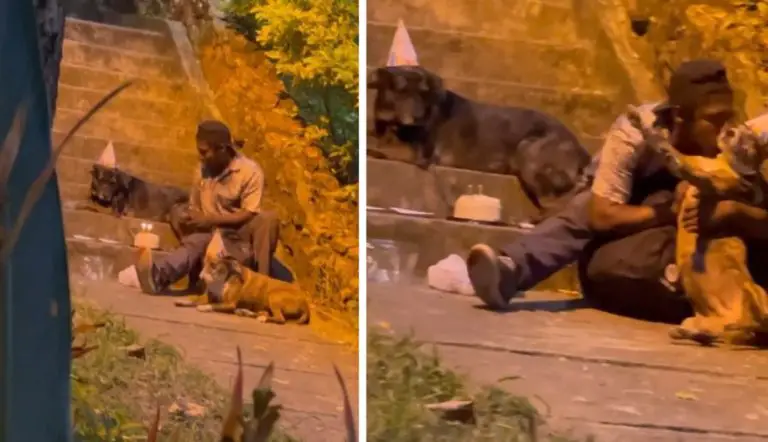 La festa di compleanno che un senzatetto ha organizzato per il suo cagnolino ha toccato il cuore di molte persone e ora lui e i suoi cani hanno una vita migliore