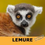 Lemure