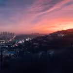 “La saggezza del rami secchi: trovare la forza nelle difficoltà”