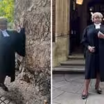 avvocato regno unito2