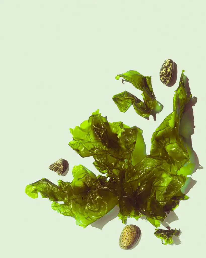 lettuce leaves and nuts on a white surface
