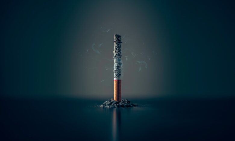 single cigarette stick with ashes stick