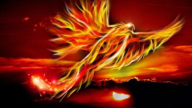 phoenix, bird, fire