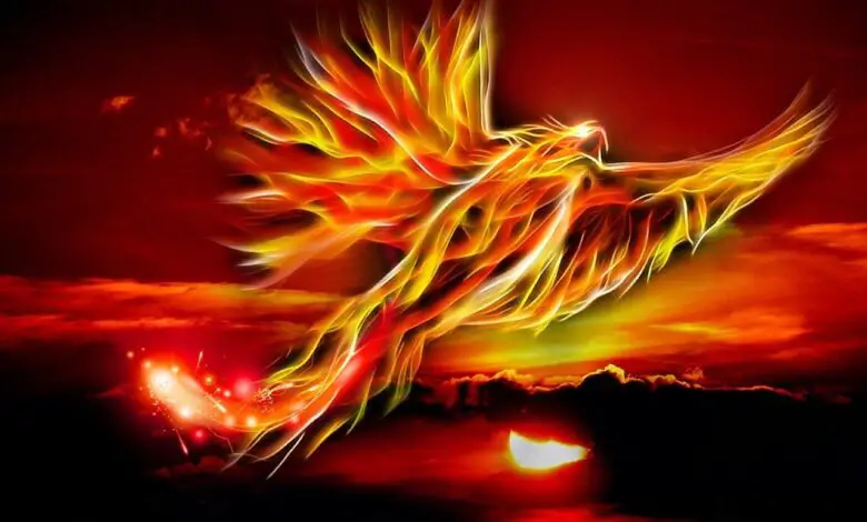 phoenix, bird, fire