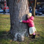Hugging a Tree