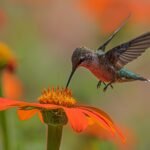 Photo by Dulcey Lima