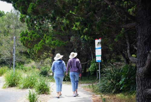 two people walking down a path in the woods