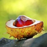 gb1064844a2bf9b7eef8327542bfa43e6a58ba3879db8cbc65d5bd7aa1d03ed8d94fa233fbdc60f2a3e13337b8dc1be741b8905fd7b1256ebea47dcc2ecb7ee94_640