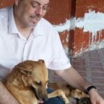 messa-insieme-ai-cani1