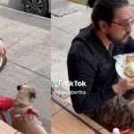 non-lo-fanno-entrare-al-ristorante-con-il-suo-cane1