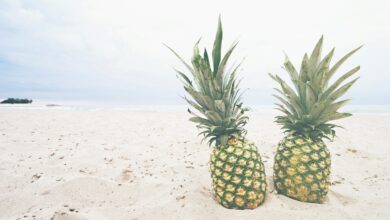 two pineapple fruits on sands