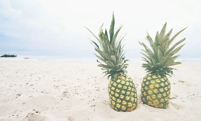 two pineapple fruits on sands