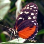 Photo by SevenStorm JUHASZIMRUS