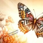 farfalla simbolo
