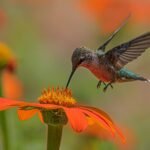 Photo by Dulcey Lima