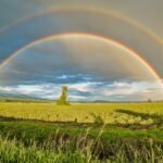 Photo by James Wheeler