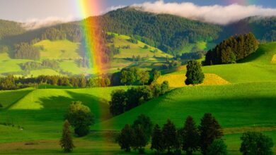 rainbow, hills, trees