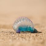 Photo by Hansel Gonzalez