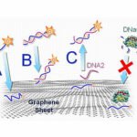 DNA Interacts with Graphene
