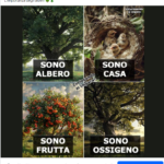 Sono albero originale