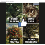 sono albero