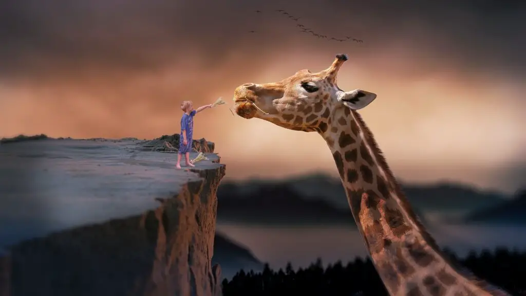 giraffe, child, nature