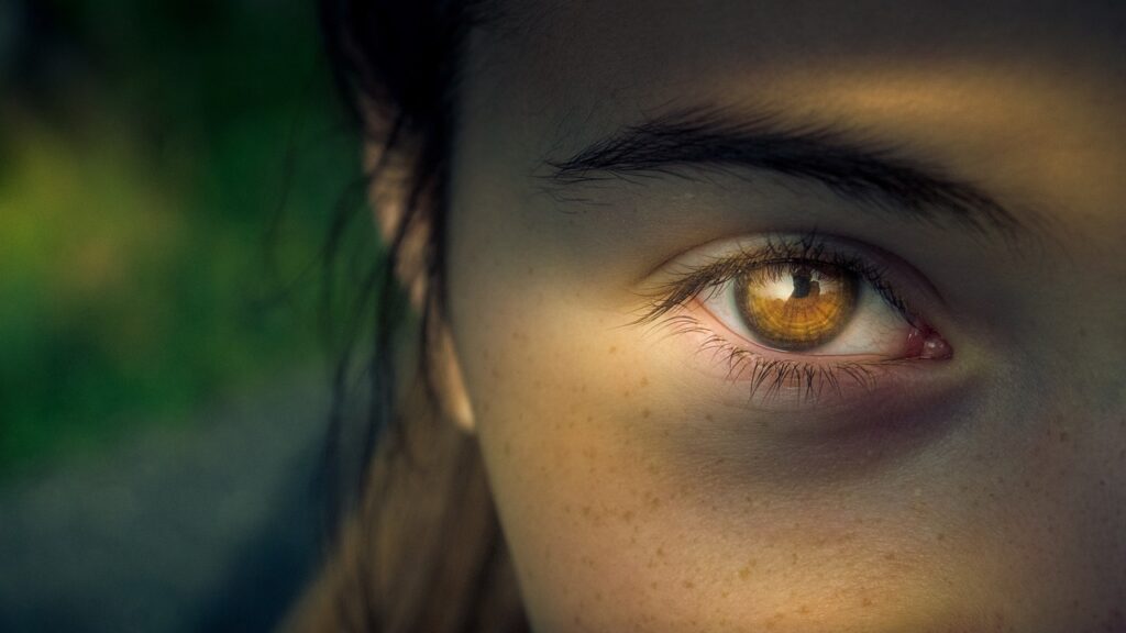 eye, iris, pupil