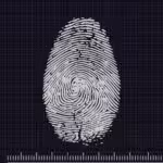 Photo by TheDigitalArtist