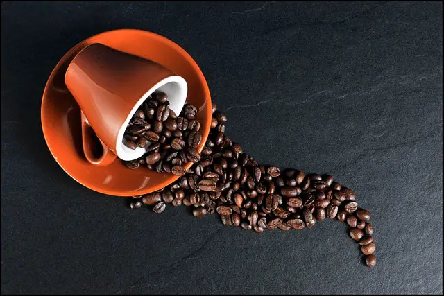 I caffè più costosi e rari del mondo: caratteristiche, prezzi e curiosità sulle varietà pregiate