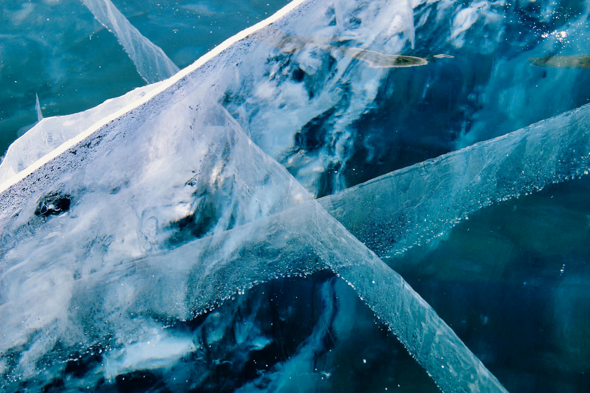 Iceberg e acqua ghiacciata in Antartide