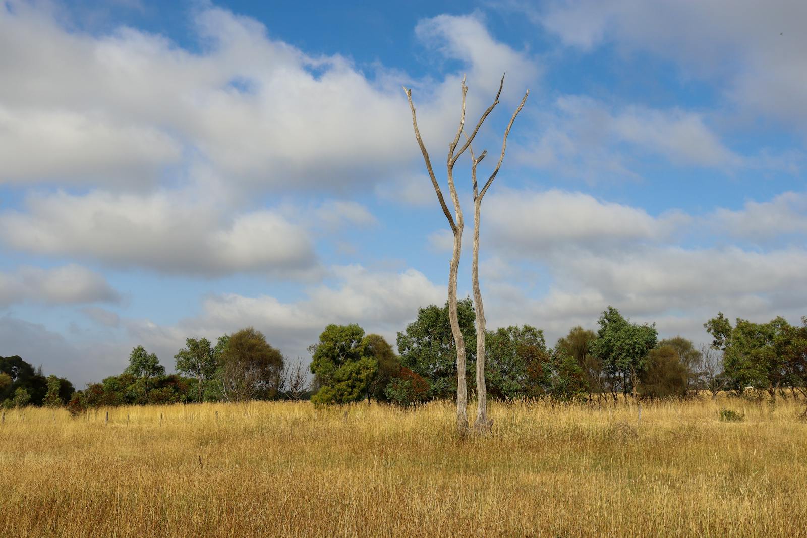 Paesaggio australiano costiero protetto