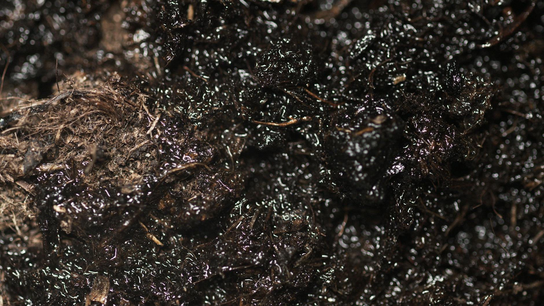 Ricerca al microscopio in laboratorio